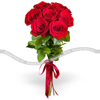 Розы поштучно Гранд Флора(7 красных роз (70 см))